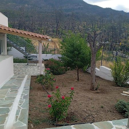 Σπίτι Στο Βουνό Αλλά Μια Ανάσα Από Τη Θάλασσα Villa Paleochori Eksteriør bilde