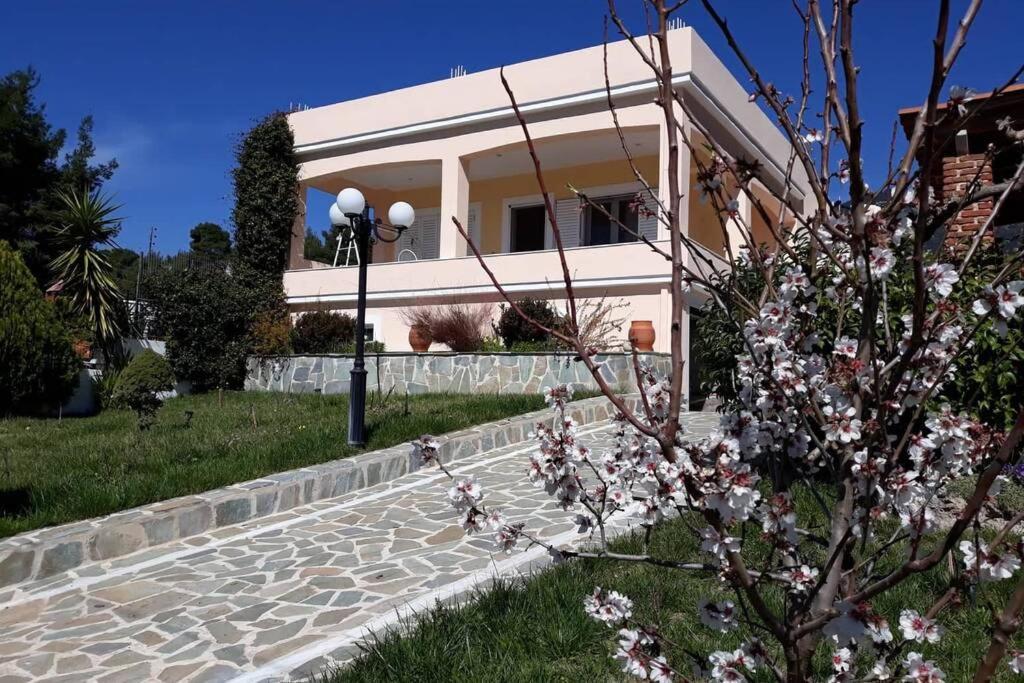 Σπίτι Στο Βουνό Αλλά Μια Ανάσα Από Τη Θάλασσα Villa Paleochori Eksteriør bilde