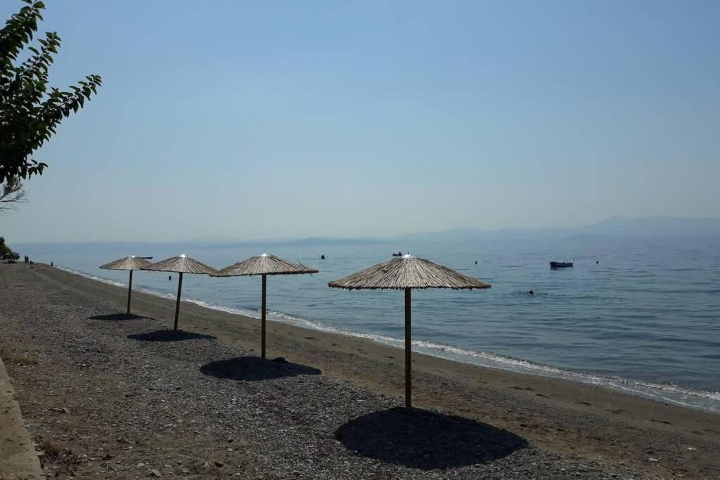 Σπίτι Στο Βουνό Αλλά Μια Ανάσα Από Τη Θάλασσα Villa Paleochori Eksteriør bilde