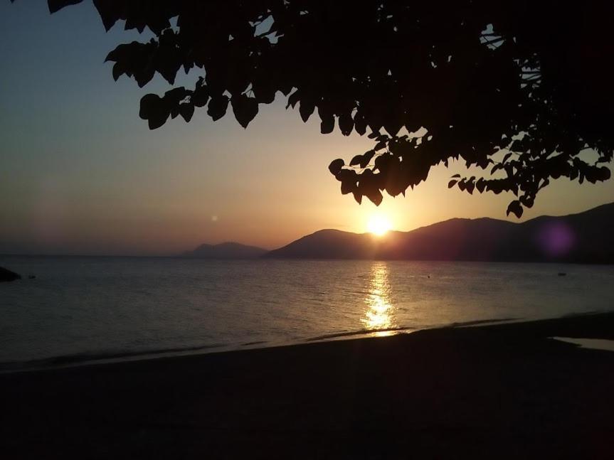 Σπίτι Στο Βουνό Αλλά Μια Ανάσα Από Τη Θάλασσα Villa Paleochori Eksteriør bilde