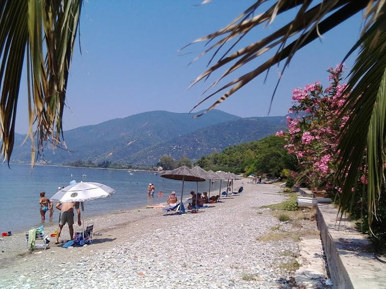 Σπίτι Στο Βουνό Αλλά Μια Ανάσα Από Τη Θάλασσα Villa Paleochori Eksteriør bilde