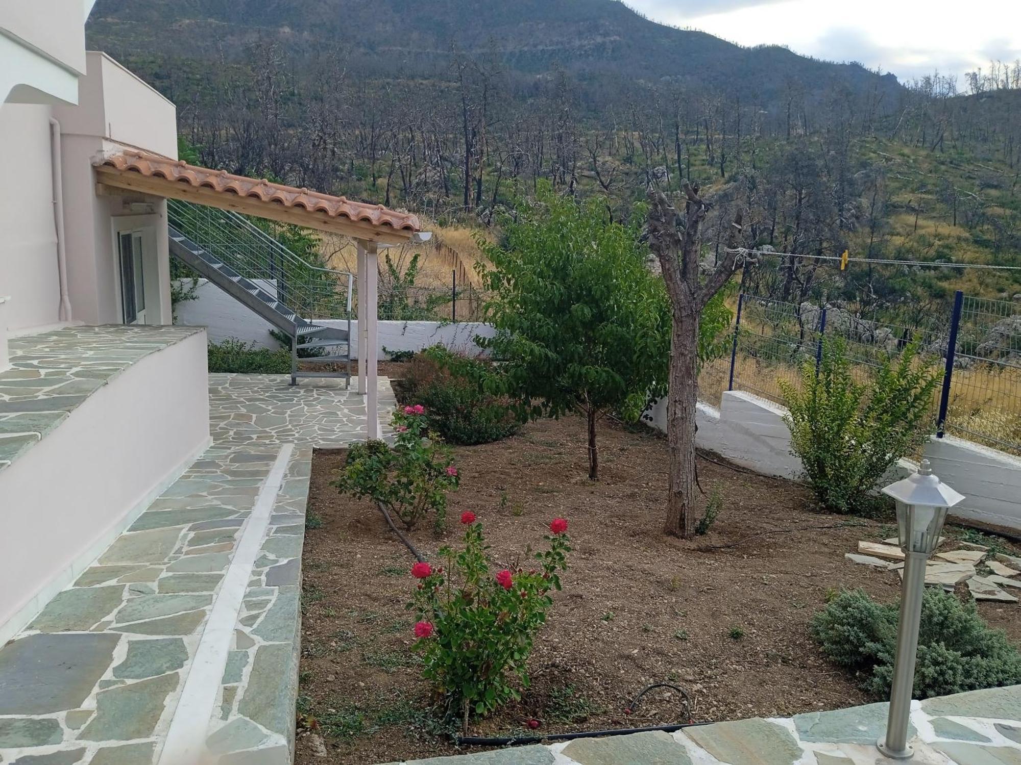 Σπίτι Στο Βουνό Αλλά Μια Ανάσα Από Τη Θάλασσα Villa Paleochori Eksteriør bilde